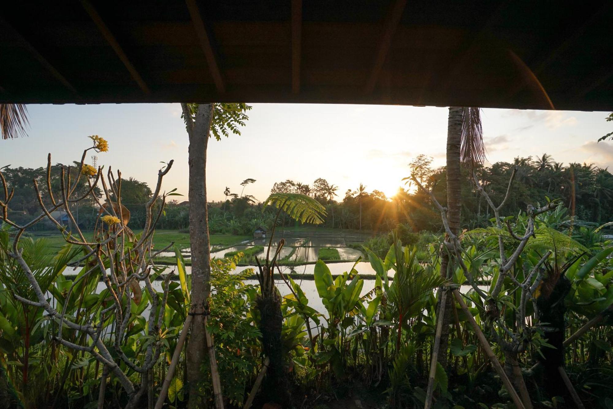 Ubud Art Resort Exterior foto