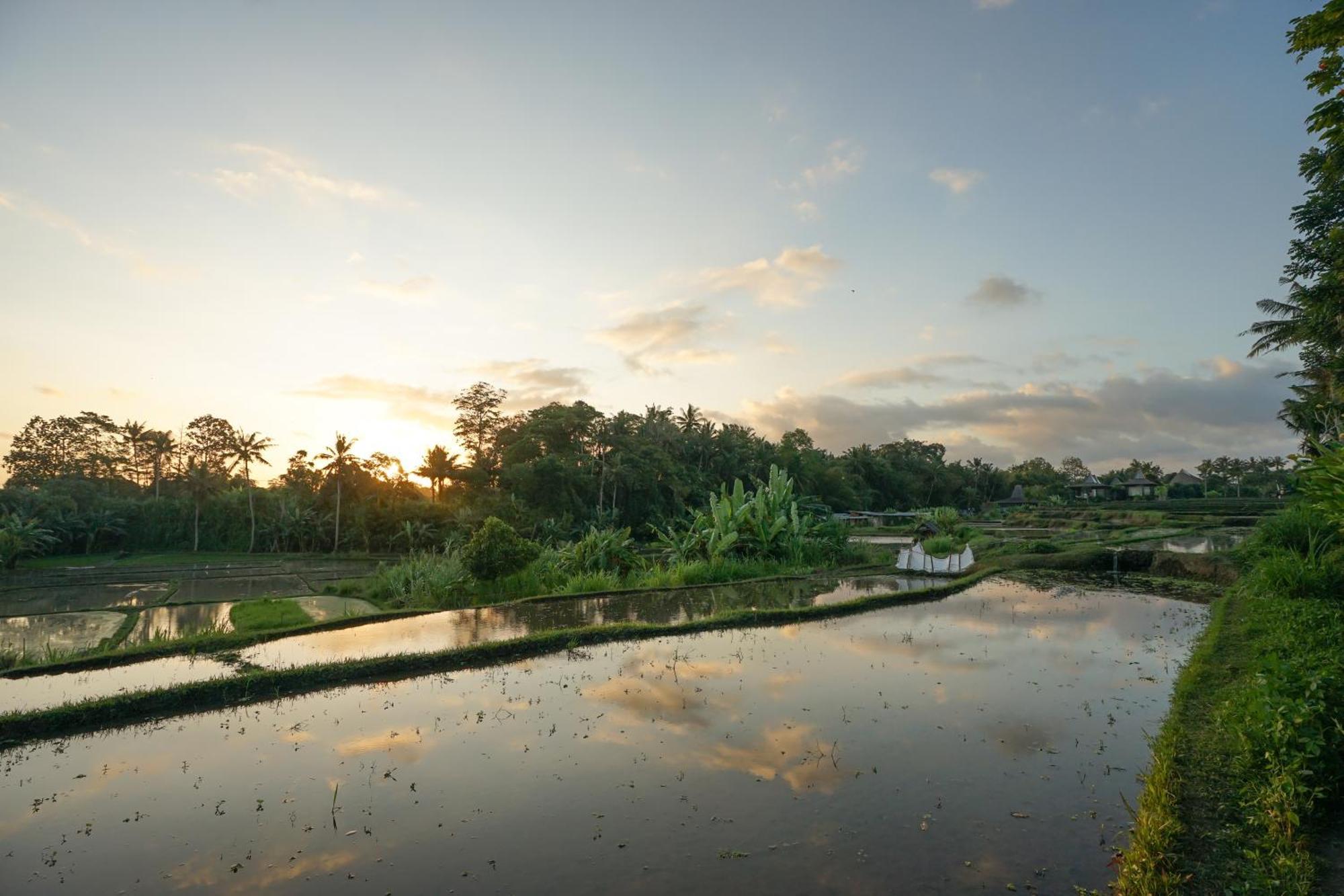 Ubud Art Resort Exterior foto