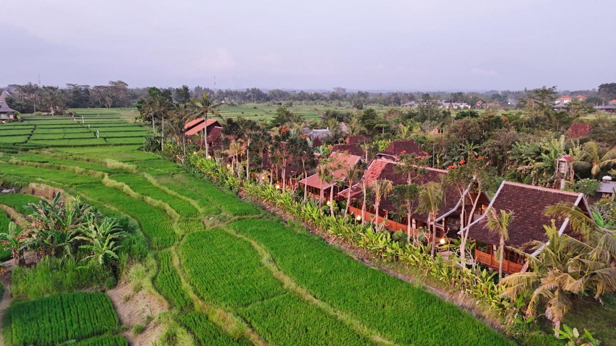 Ubud Art Resort Exterior foto