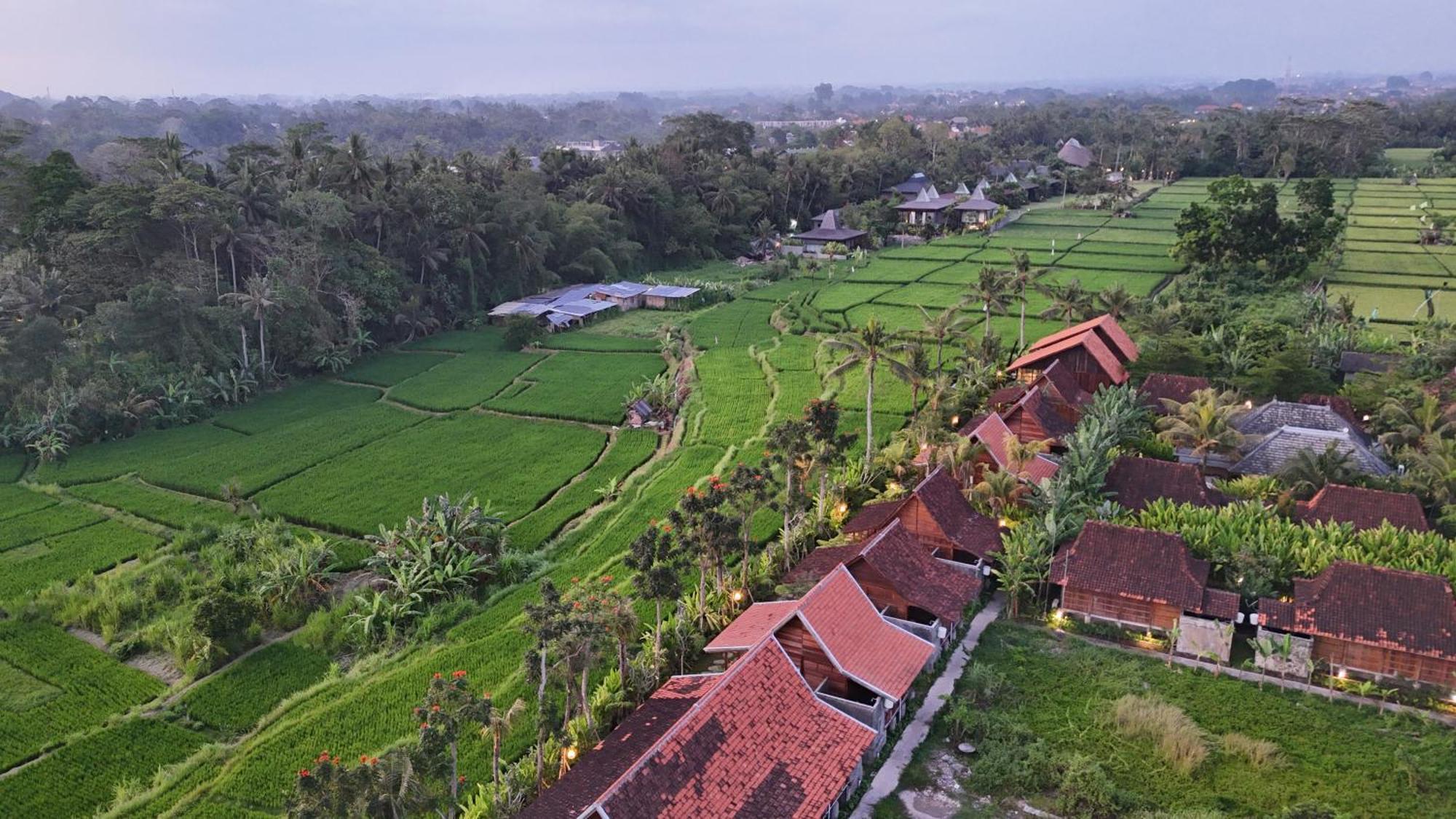Ubud Art Resort Exterior foto