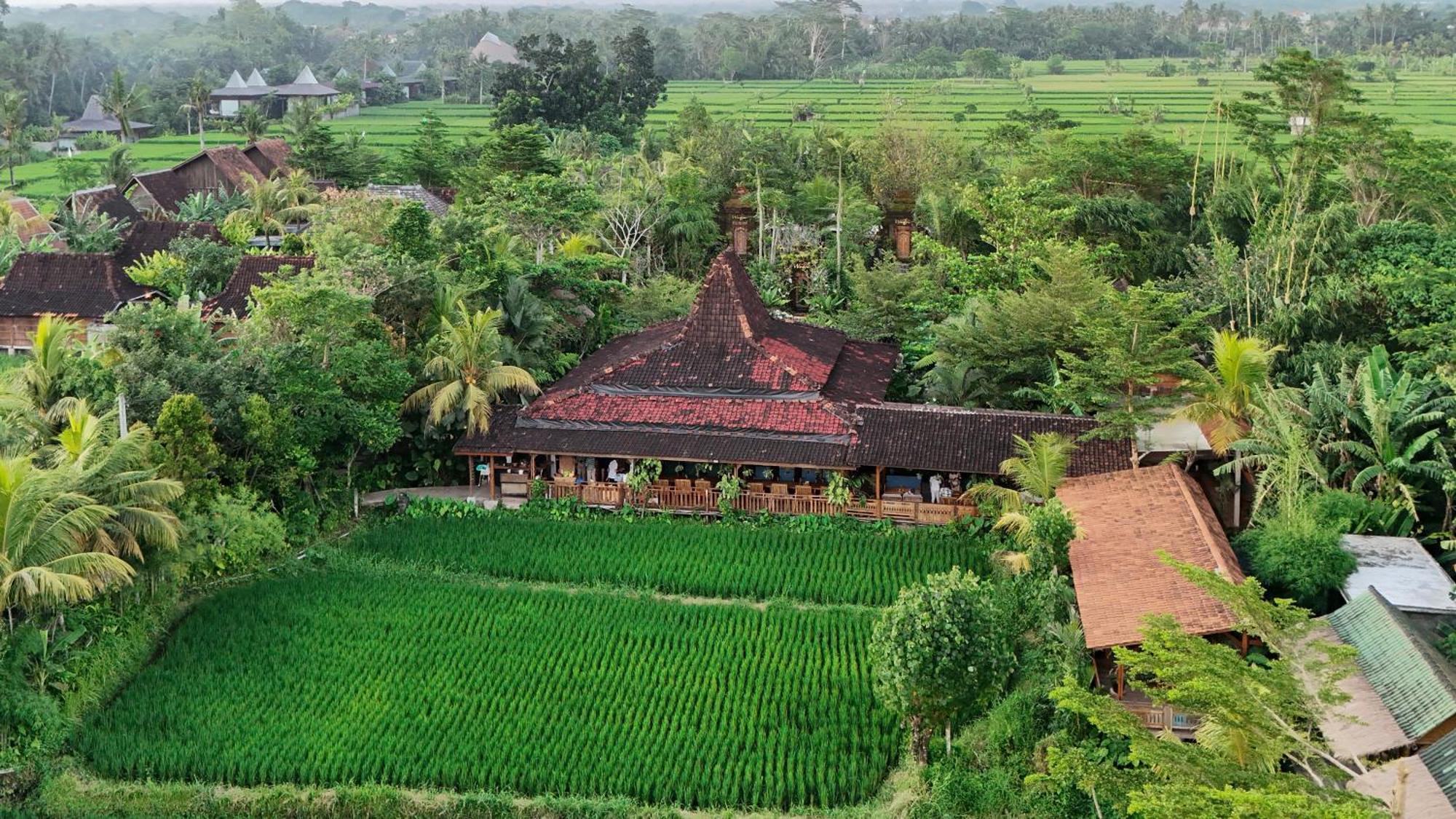 Ubud Art Resort Exterior foto